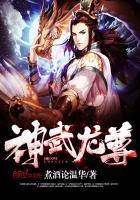 神武龙多少钱一个