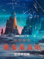 我的御兽伤害有点低